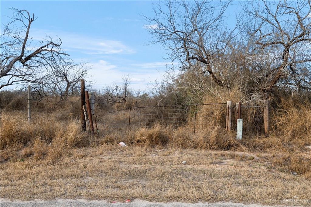 Cr 3038, Falfurrias, Texas image 3