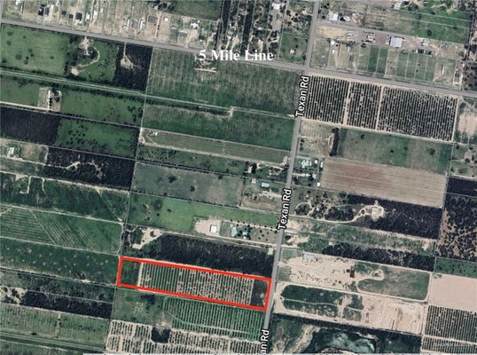 003 TEXAN ROAD, MISSION, TX 78572 - Image c811f150e198130a4a2c22b632e17bab/2409442908