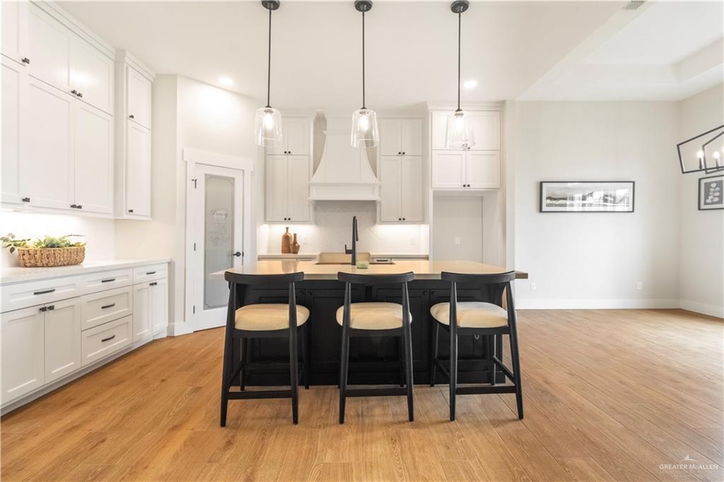 1011 Broken Arrow Drive, Alamo, Texas image 3