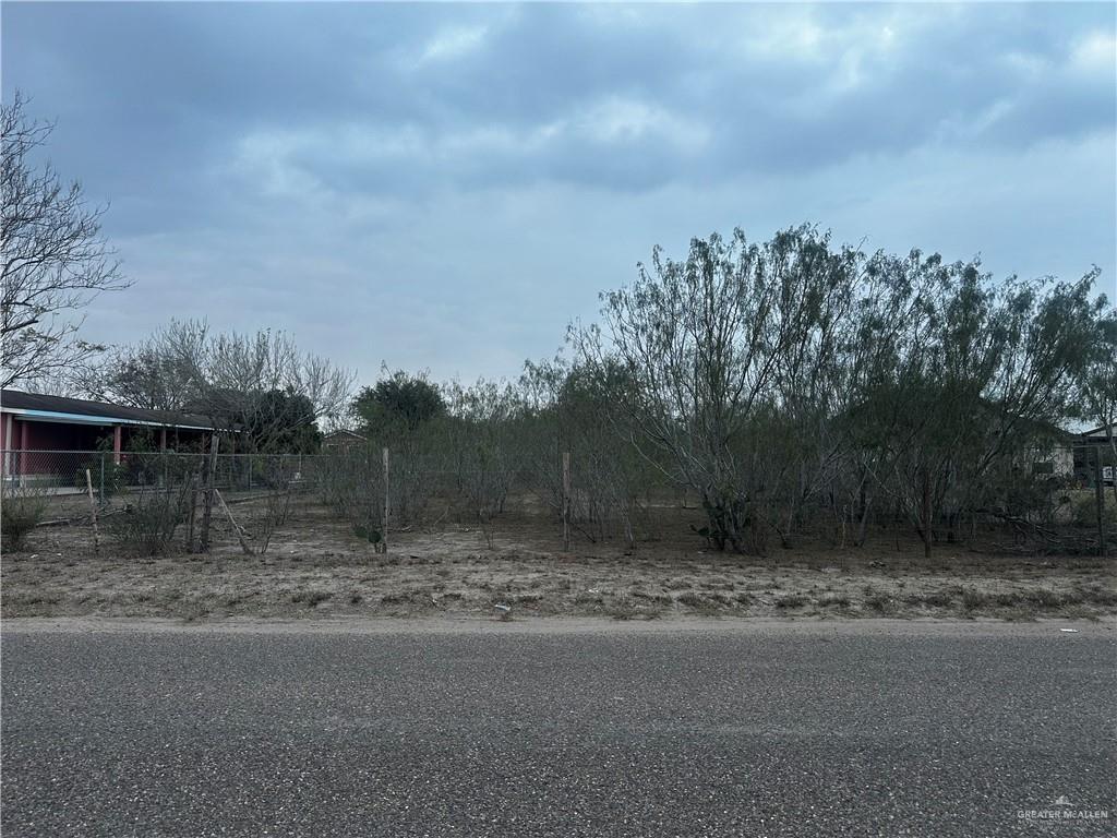 502 El Sendero Drive, Sullivan City, Texas image 1
