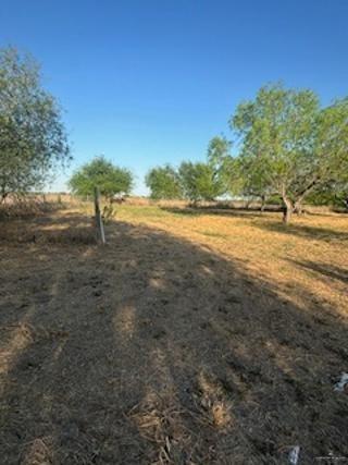 0000 W Cantu Road, Santa Rosa, Texas image 4