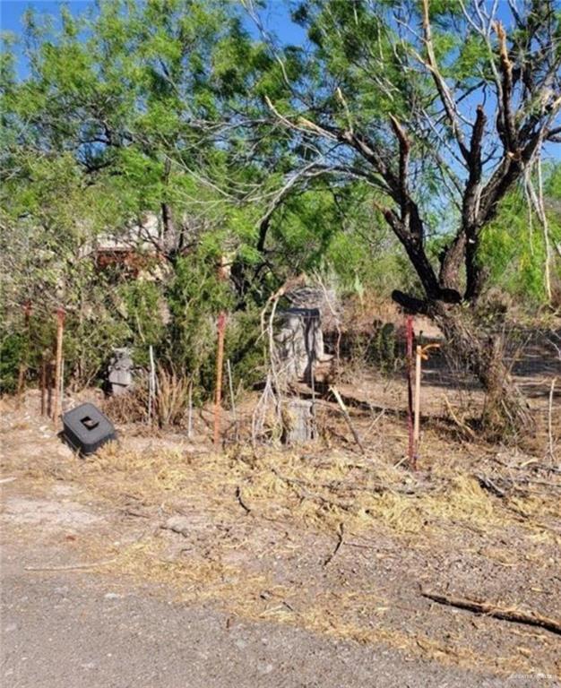 4 Ebony Avenue, Roma, Texas image 1