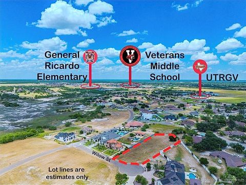 Vacant Land For Sale - 00 Willow Street<br/> Starr County, Rio Grande City, TX 78582