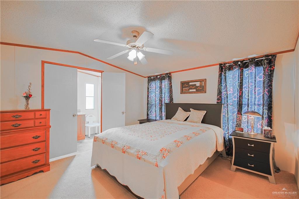 340 Fan Palm St, Alamo, Texas image 13