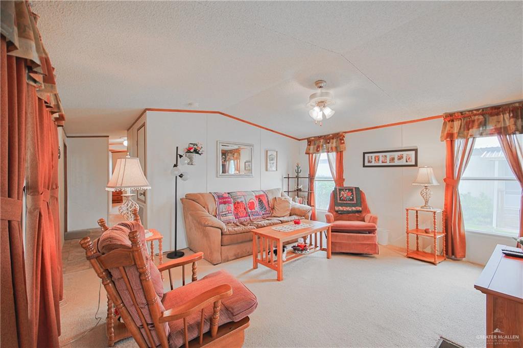 340 Fan Palm St, Alamo, Texas image 11