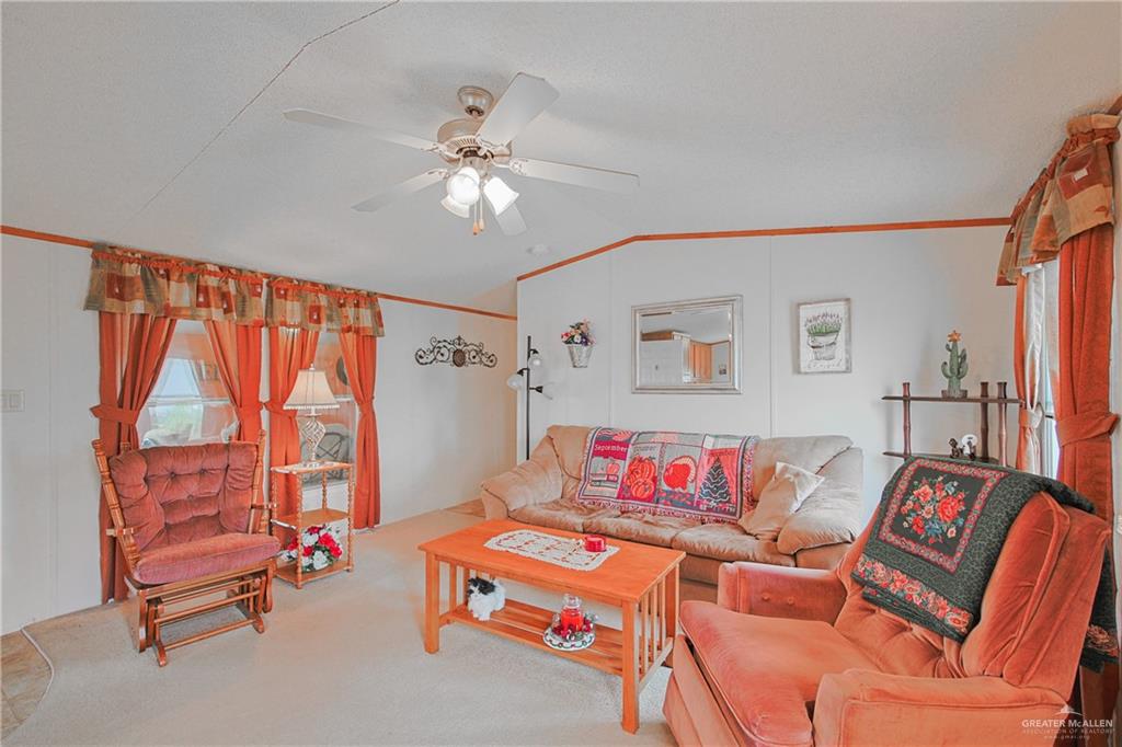340 Fan Palm St, Alamo, Texas image 10