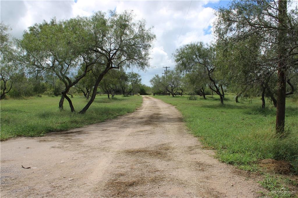 375 W Cr 401 Road, Falfurrias, Texas image 8