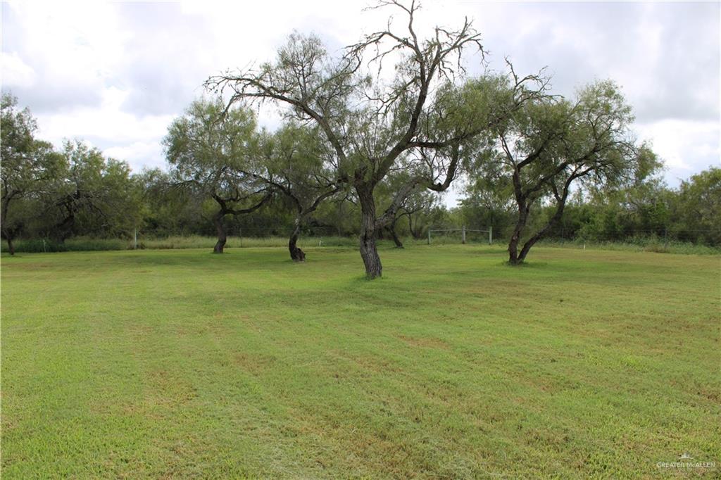 375 W Cr 401 Road, Falfurrias, Texas image 9