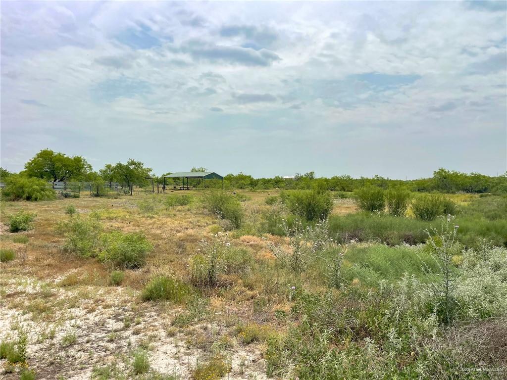 Lot 6 N Fm 3167 Avenue #2A, Rio Grande City, Texas image 11