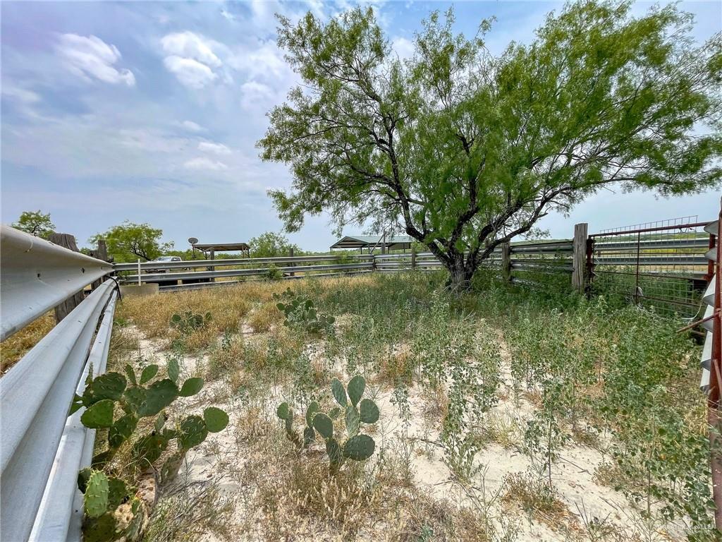 Lot 6 N Fm 3167 Avenue #2A, Rio Grande City, Texas image 6