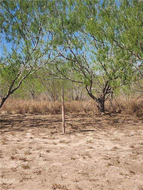 Vacant Land For Sale - Lorese<br/> Hidalgo County, Edinburg, TX 78541
