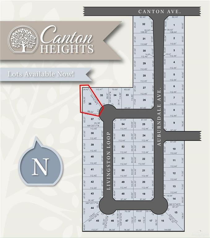 2923 E Weston Street, Edinburg, Texas image 1
