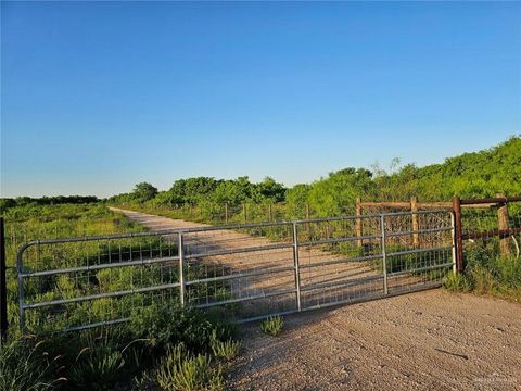 Vacant Land For Sale - 26447 Fm 2058 Road<br/> Hidalgo County, Edinburg, TX 78541