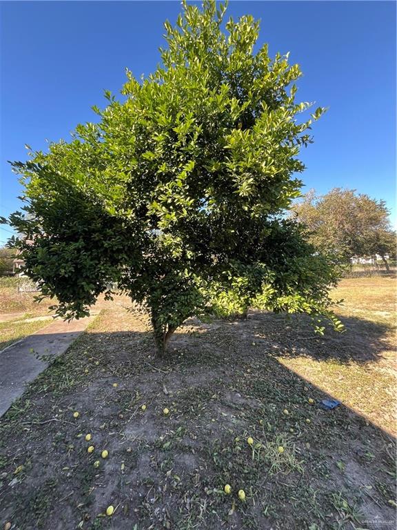 607 E De Soto Avenue, Alamo, Texas image 4