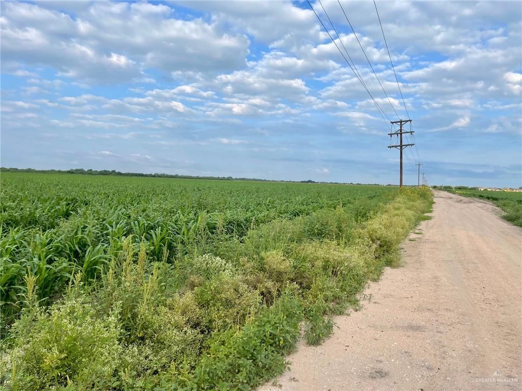 TBD Mile 15 1/2 Road, Elsa, Texas image 1