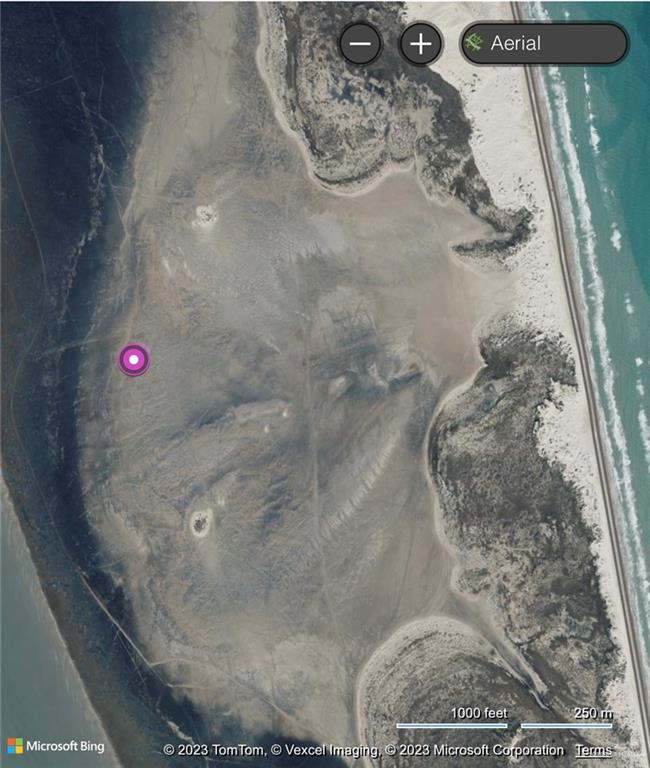 Land, South Padre Island, Texas image 10