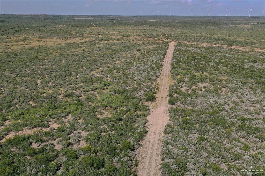 Loma Blanca Road, Roma, Texas image 3