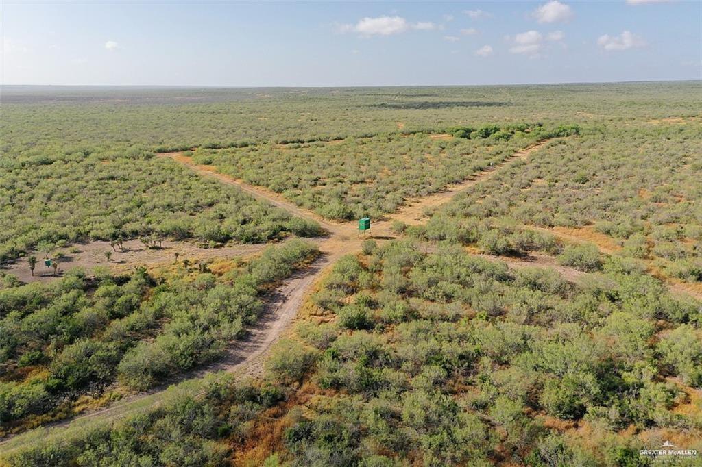 Loma Blanca Road, Roma, Texas image 6