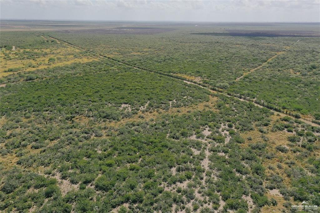 Loma Blanca Road, Roma, Texas image 4