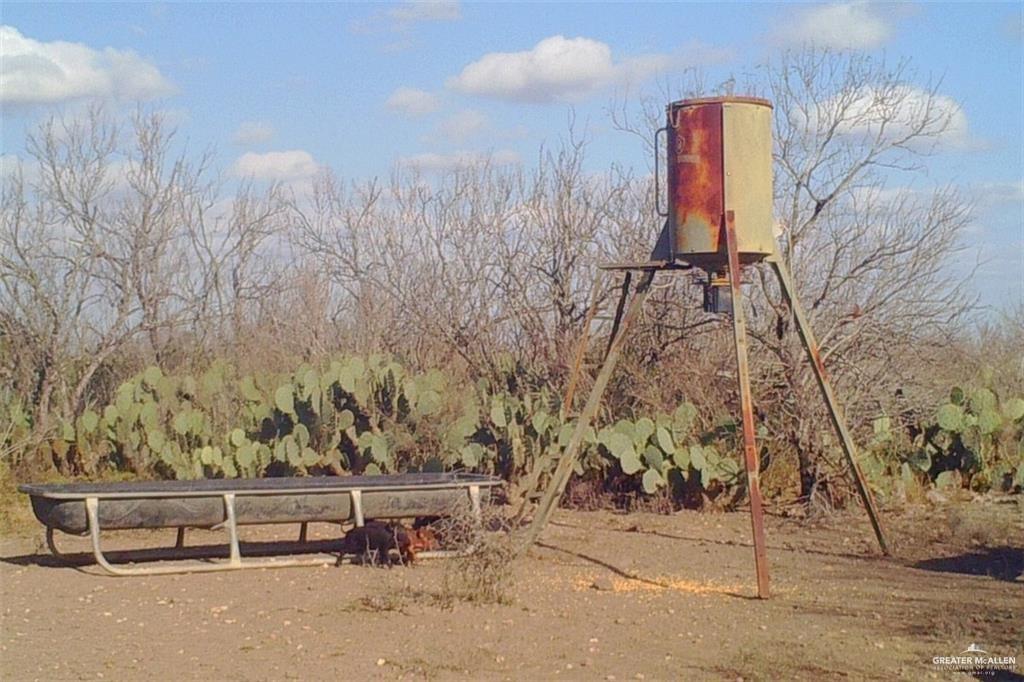 Loma Blanca Road, Roma, Texas image 27