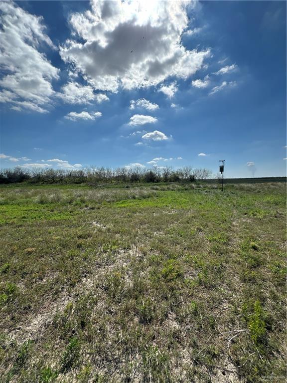 +/- 6AC San Fernando Road, Rio Hondo, Texas image 6