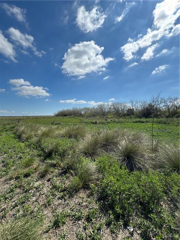 +/- 6AC San Fernando Road, Rio Hondo, Texas image 10