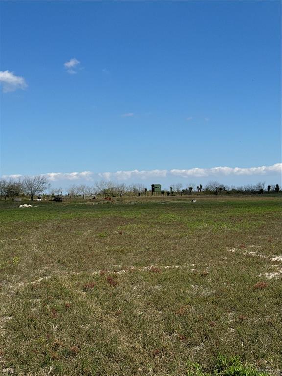 +/- 6AC San Fernando Road, Rio Hondo, Texas image 5