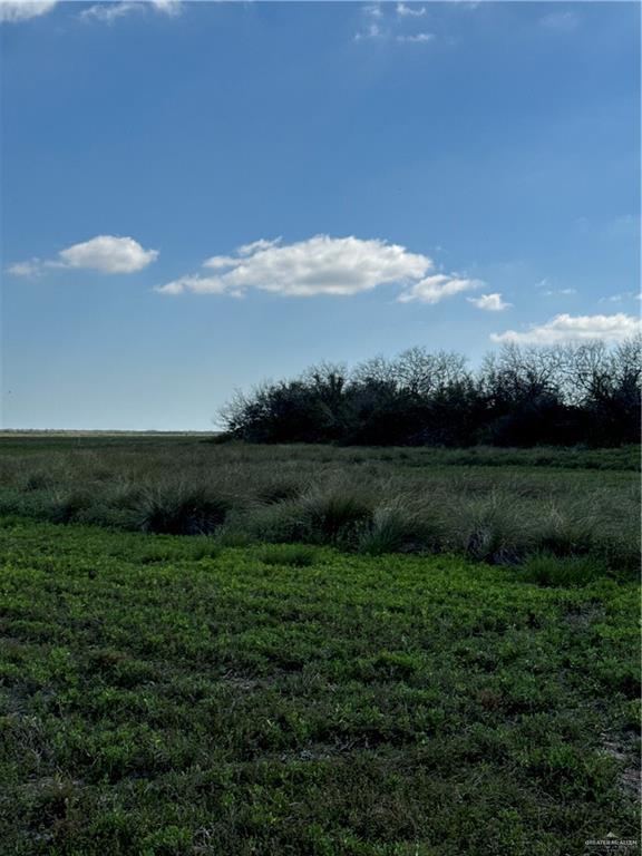 +/- 6AC San Fernando Road, Rio Hondo, Texas image 8