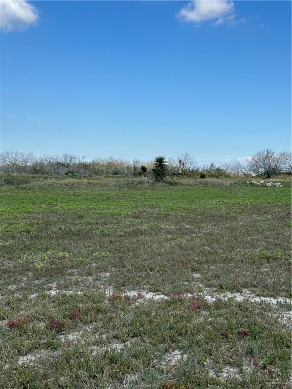 +/- 6AC San Fernando Road, Rio Hondo, Texas image 9