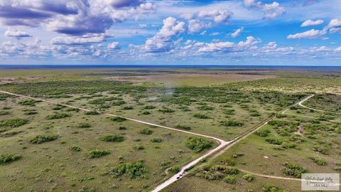 327.27 CR 313 N Encino TX 78353