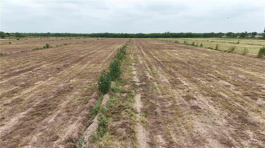 Lot 12 Monte Cristo Heights Road, Edinburg, Texas image 16