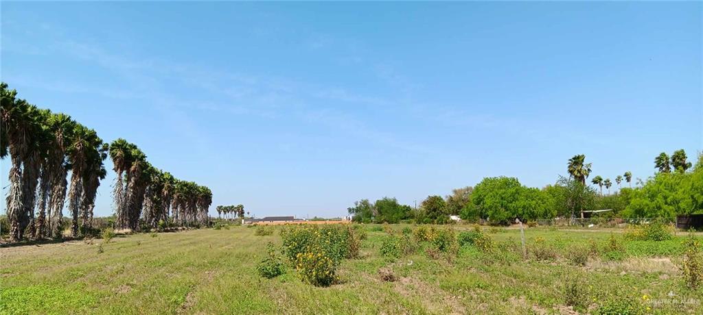 1210 Nebraska Road, Alamo, Texas image 19