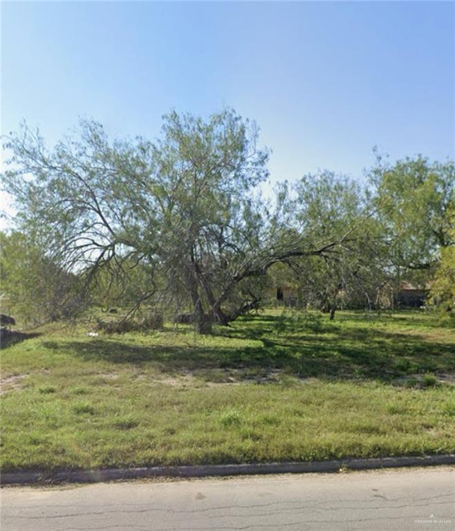 3401 Elmira Avenue, McAllen, Texas image 1