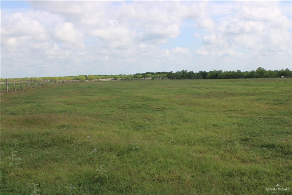 Cr 15 Aka Davila Road, Hargill, Texas image 10