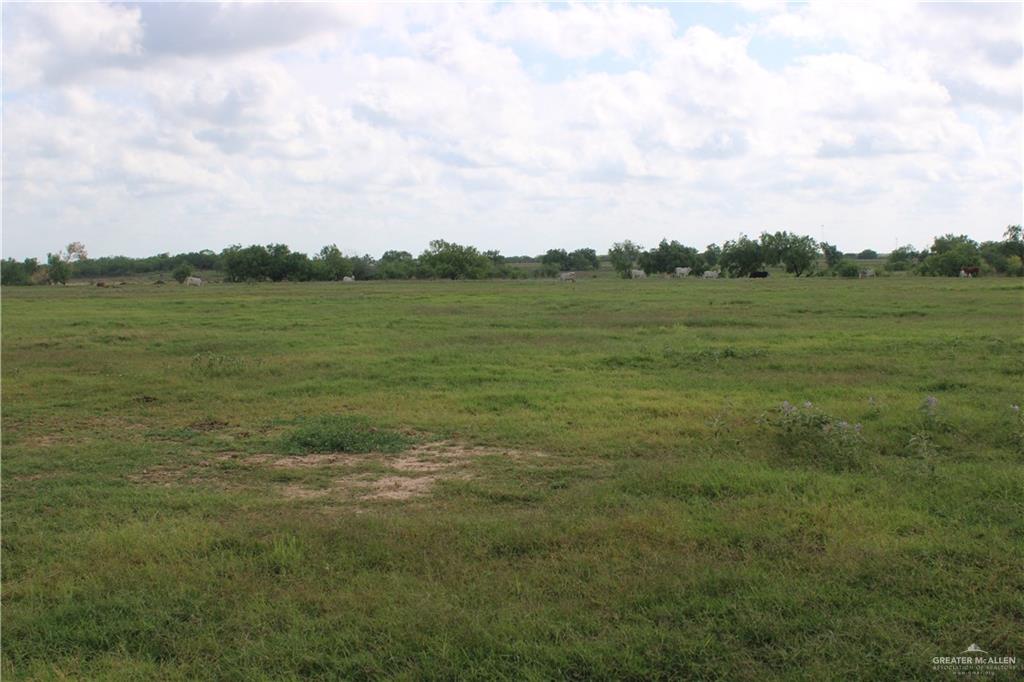 Cr 15 Aka Davila Road, Hargill, Texas image 11