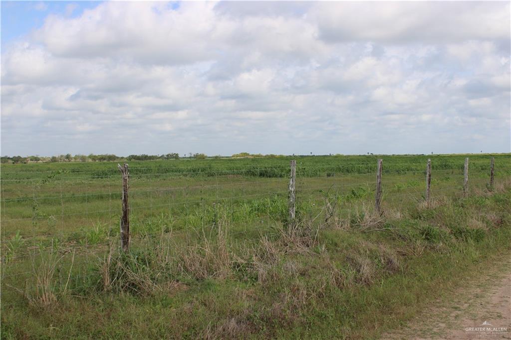 Cr 15 Aka Davila Road, Hargill, Texas image 9