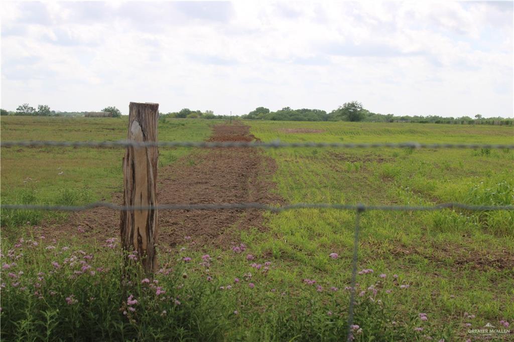 Cr 15 Aka Davila Road, Hargill, Texas image 13