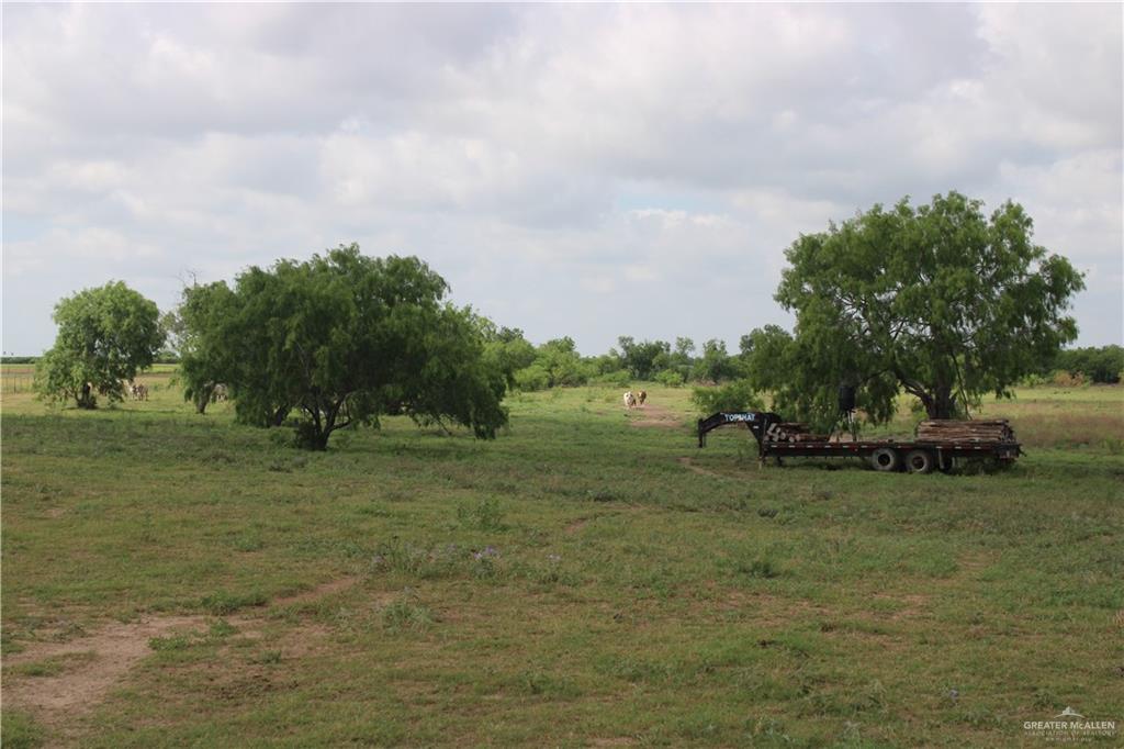 Cr 15 Aka Davila Road, Hargill, Texas image 16
