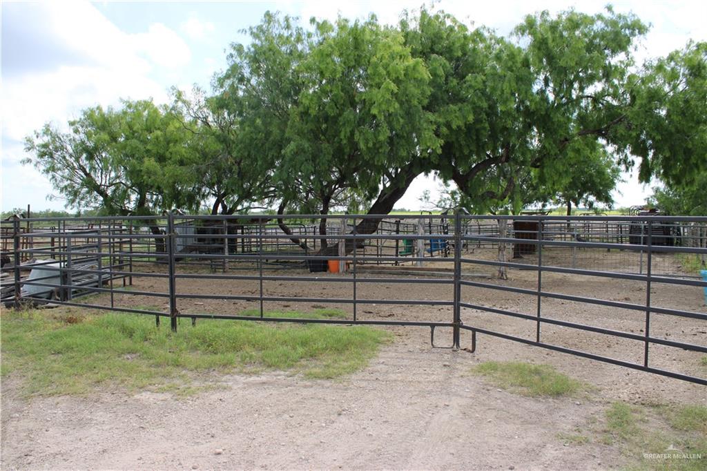 Cr 15 Aka Davila Road, Hargill, Texas image 7