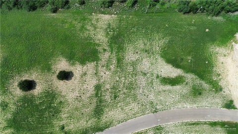 Vacant Land For Sale - TBD Mimosa Circle<br/> Rio Grande City, TX 78582