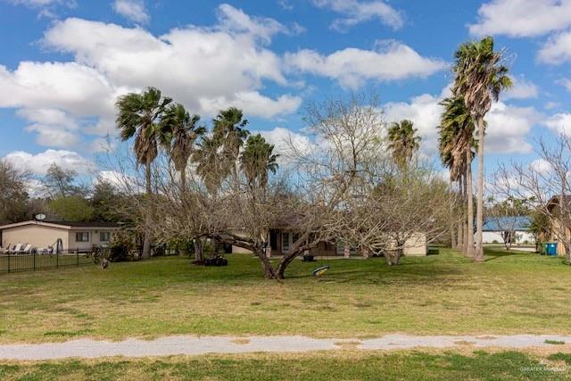 314 Santa Ana Avenue, Rancho Viejo, Texas image 12