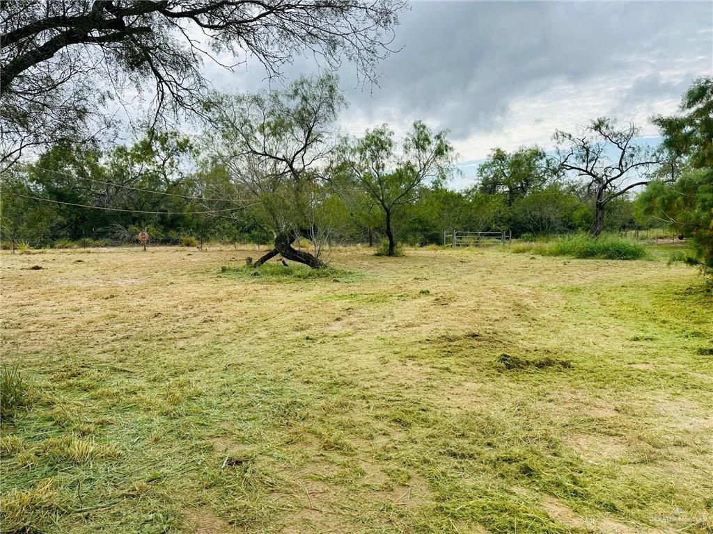 00 Los Mesquites Lane, San Isidro, Texas image 15