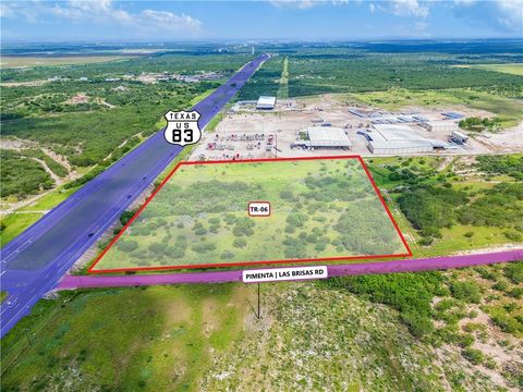 Vacant Land For Sale - TR 6 Pimenta Road<br/> Starr County, Rio Grande City, TX 78582