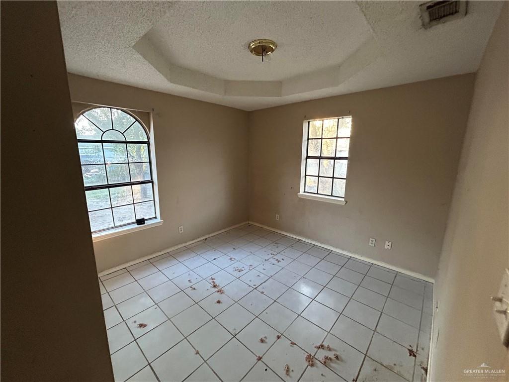 621 Santa Monica Avenue, Pharr, Texas image 3