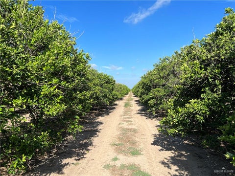 Vacant Land For Sale - 10.75 MI N Western Road<br/> Hidalgo County, Edinburg, TX 78541