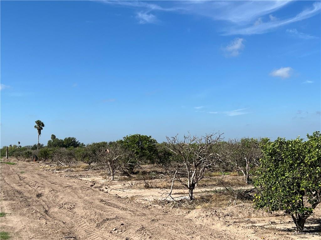 10.75 Mi N Western Road, Edinburg, Texas image 7