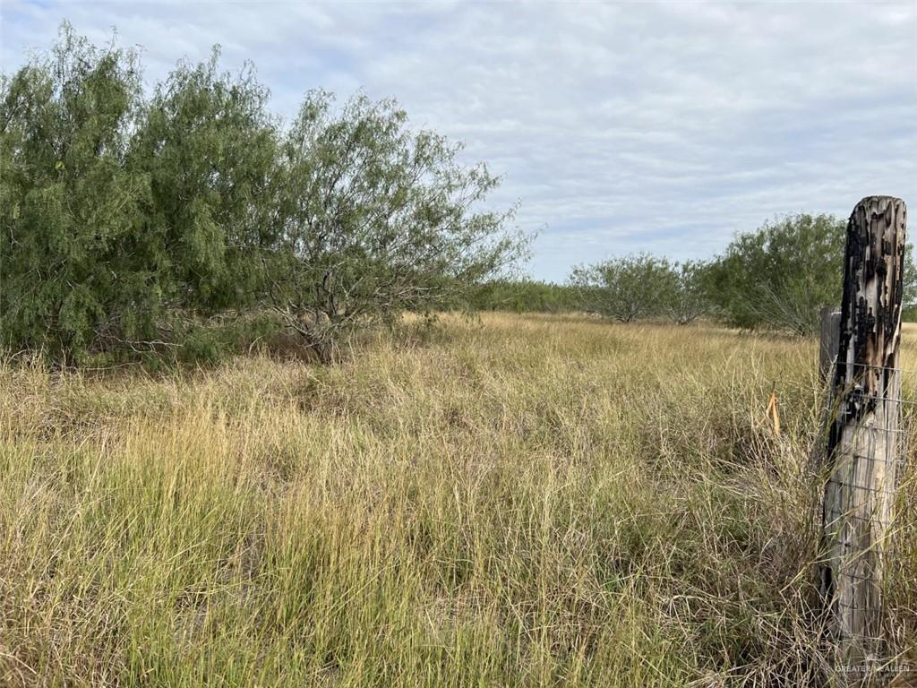 00 Forto Land Road, La Feria, Texas image 10