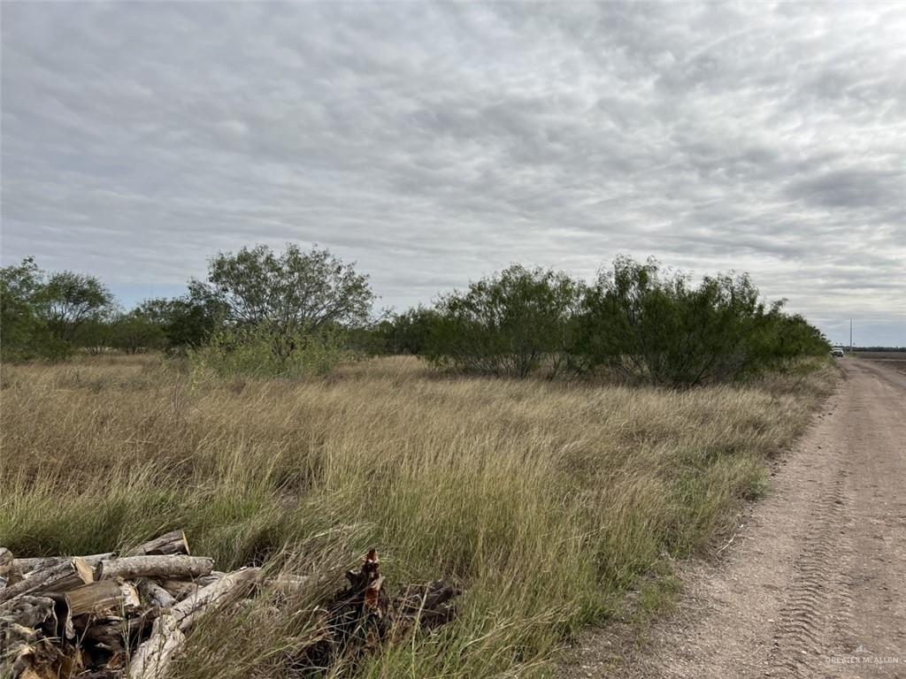 00 Forto Land Road, La Feria, Texas image 4