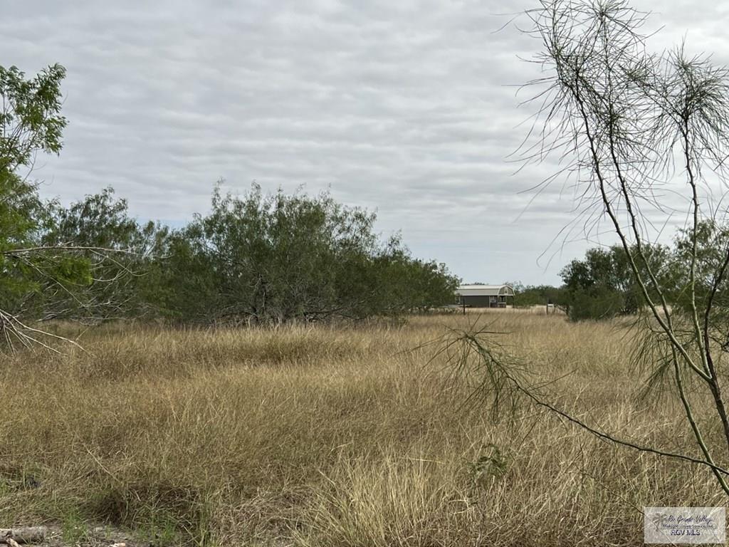 00 Forto Land Road, La Feria, Texas image 2