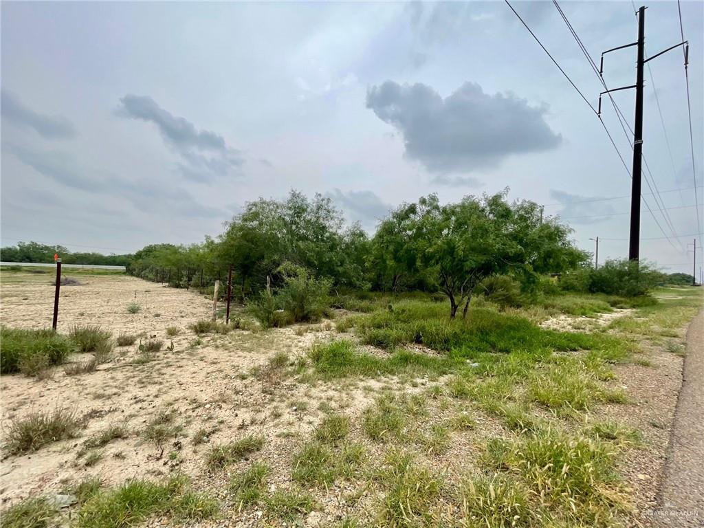 2917 N Us Highway 83 Street, Roma, Texas image 8